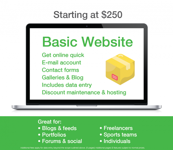 Basic Website Package