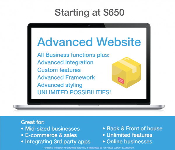 Advanced Website Package