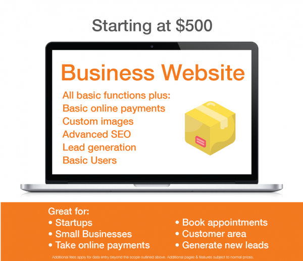 Business Website Package